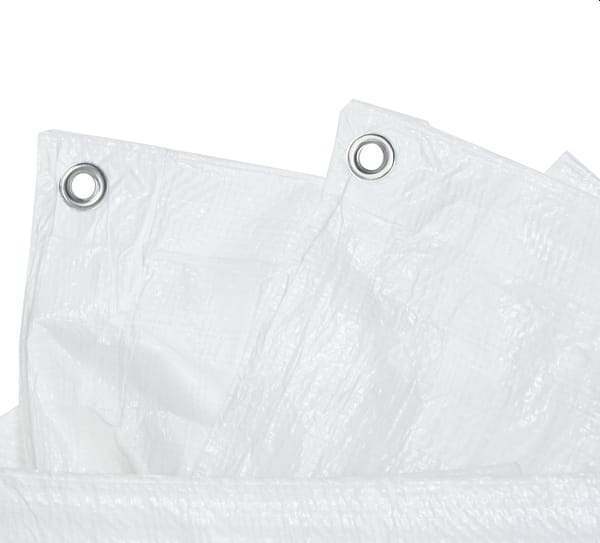 6 (6).jpg